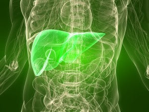 Green Tea & Your Liver: The Facts